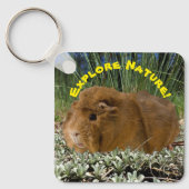 Exploring Nature With A Cute Guinea Pig Photograph キーホルダー (正面)