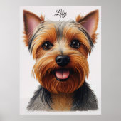 Expressive CloseUp Yorkshire Terrier Dog Portrait ポスター (正面)