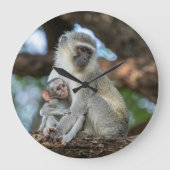 Expressive Vervet Monkey in Africa ラージ壁時計 (正面)