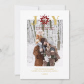 Exquisite Christmas Actual Snowflake Photo Holiday シーズンカード (正面)