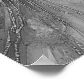 Exquisite Dark Monochromatic Beauty Roses & Raven ポスター (角)