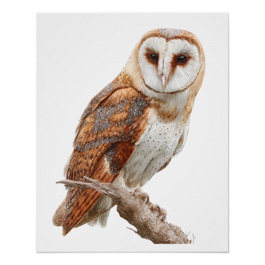 Exquisite Watercolor Barn Owl Portrait ポスター (正面)