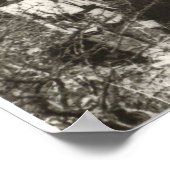 Extended Family Portrait of Geronimo ポスター (角)