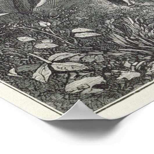 Extracting Pulque ポスター (角)