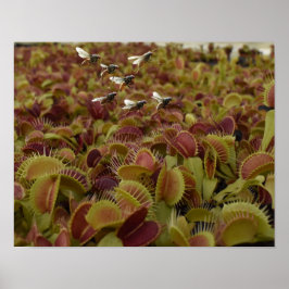 Extreme sport for flies. ポスター