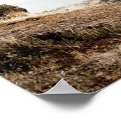 Extreme Sports Poster: Guy on Bike doing Tricks ポスター (角)