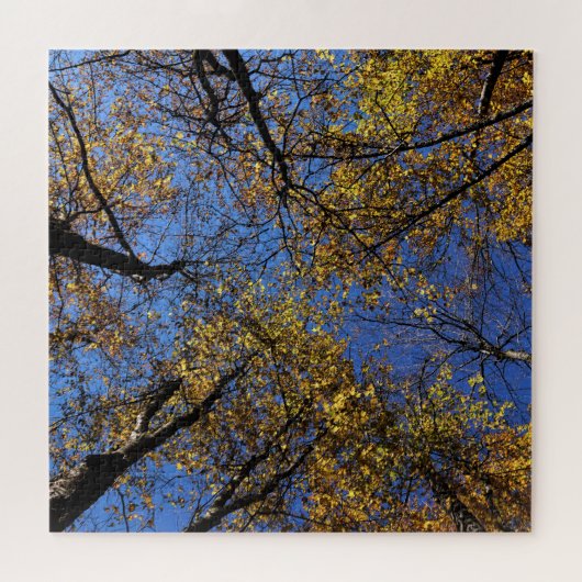 Extremely Challenging Nature Puzzles For Adults ジグソーパズル (横)