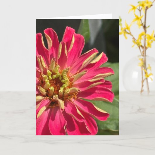 Exuberant Zinnia Blank Greeting Card カード (黄色い花)