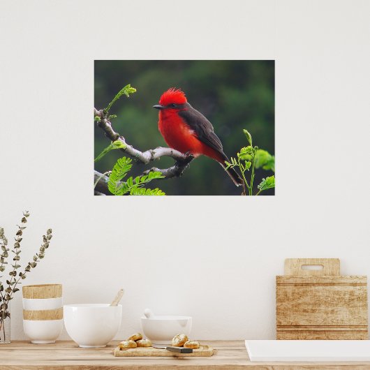 Eyeポスター ポスター (キッチン)