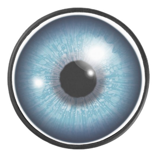 Eye Ball Hockey Puck アイスホッケーパック (正面)