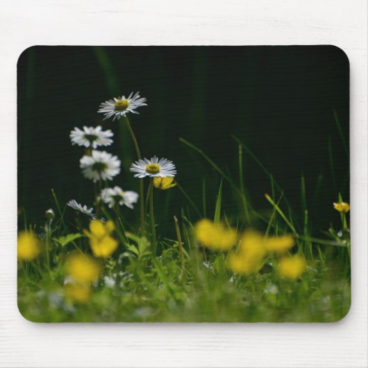 Eye Catching Daisy Flower Mouse Pad for Office Com マウスパッド (正面)