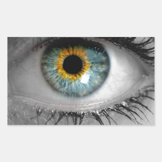 Eye looks to Viewerコンセプトマクロ 長方形シール (正面)