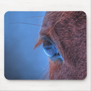 Eye of Chestnut Horseの写真ウマ科の マウスパッド