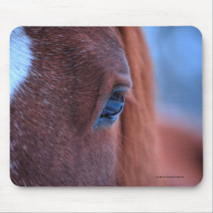 Eye of Chestnut Horseの写真ウマ科の マウスパッド