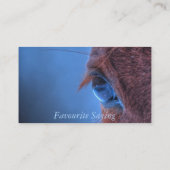 Eye of Chestnut Horseの写真ウマ科の 名刺 (裏面)