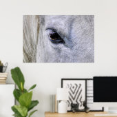 Eye of Horse White Ranch Mareの写真 ポスター (ホームオフィス)