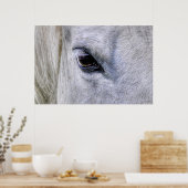 Eye of Horse White Ranch Mareの写真 ポスター (キッチン)