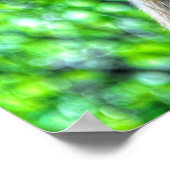 Eye of Horse White Ranch Mare写真2 ポスター (角)