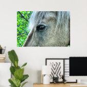 Eye of Horse White Ranch Mare写真2 ポスター (ホームオフィス)