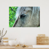 Eye of Horse White Ranch Mare写真2 ポスター (キッチン)