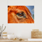 Eye of Red Dun Mare Horse写真ウマ科の ポスター (キッチン)