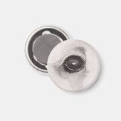 Eye of the Bear – Gaze Collection マグネット (正面/裏面)