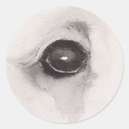 Eye of the Bear – Gaze Collection ラウンドシール