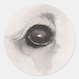 Eye of the Bear – Gaze Collection ラウンドシール