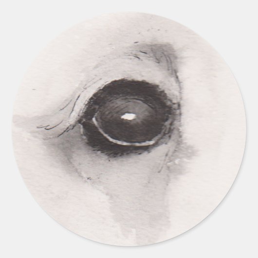 Eye of the Bear – Gaze Collection ラウンドシール (正面)