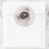 Eye of the Bear – Gaze Collection ラウンドシール (バッグ)