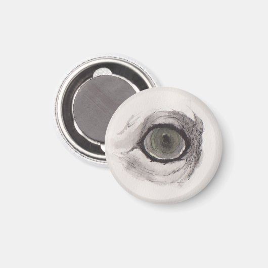 Eye of the Fox – Gaze Collection マグネット (正面/裏面)