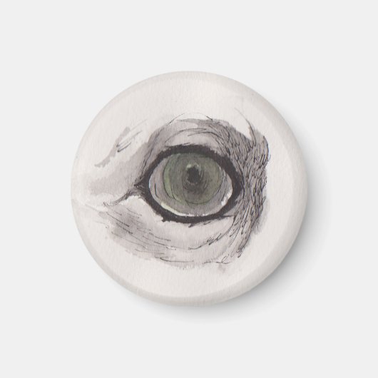 Eye of the Fox – Gaze Collection マグネット (正面)