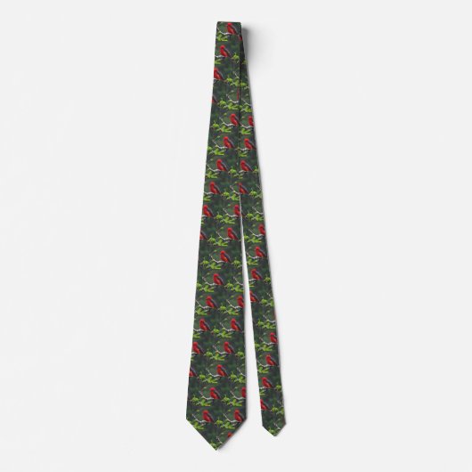 Eye to Eye Men's Tie ネクタイ (正面)