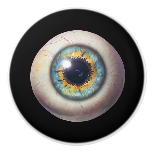 Eyeball Door Pull セラミックノブ (正面)