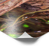 Eyes of the Night: Great Horned Owl フォトプリント (角)