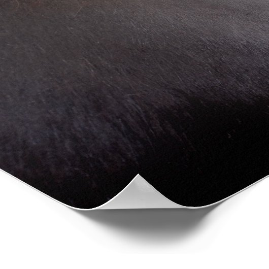 Eyes Of The Soul Percheron Draft  Horse ポスター (角)