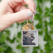 Eyjafjalljokullの火山爆発 キーホルダー (手)