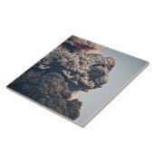 Eyjafjalljokullの火山爆発 タイル (側面)