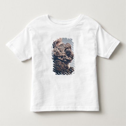 Eyjafjalljokullの火山爆発 トドラーTシャツ (正面)