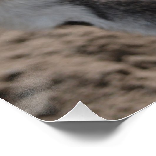 Ezel donkey  ポスター (コーナー)