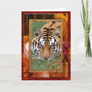 Fタイガーフレンド16 シーズンカード