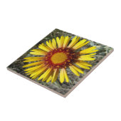 F1イエローワイルドフラワーガイラディア タイル (側面)