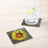 F1黄色ワイルドフラワー(Gaillardia aristata) スクエアペーパーコースター (インサイチュ)