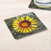 F1黄色ワイルドフラワー(Gaillardia aristata) スクエアペーパーコースター (アングル)