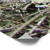 F10白い野の花が房状のノミ ポスター (角)