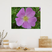 F11プレーリーワイルドバラ"ローザアルカンサナ" ポスター (キッチン)