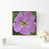 F11ワイルドバラ「Rosa arkansana」 スクエア壁時計 (ホーム)