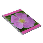 F11ワイルドバラ「Rosa arkansana」 ノートブック (右側)