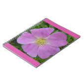 F11ワイルドバラ「Rosa arkansana」 ノートブック (左側)