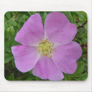 F11 プレーリー ワイルド ローズ "Rosa arkansana" マウスパッド